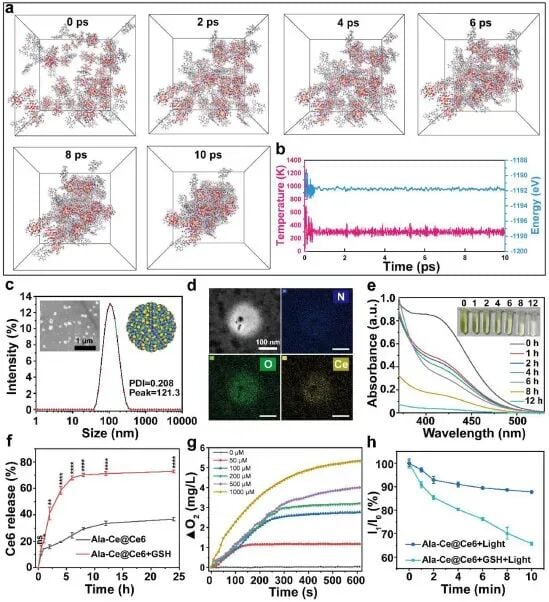 Ala-Ce@Ce6纳米酶自组装分子动力学模拟与理化性质表征