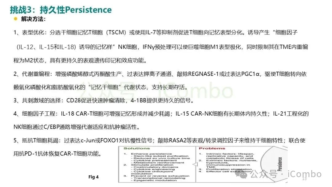 空间转录组学解析肿瘤内部免疫细胞异质性