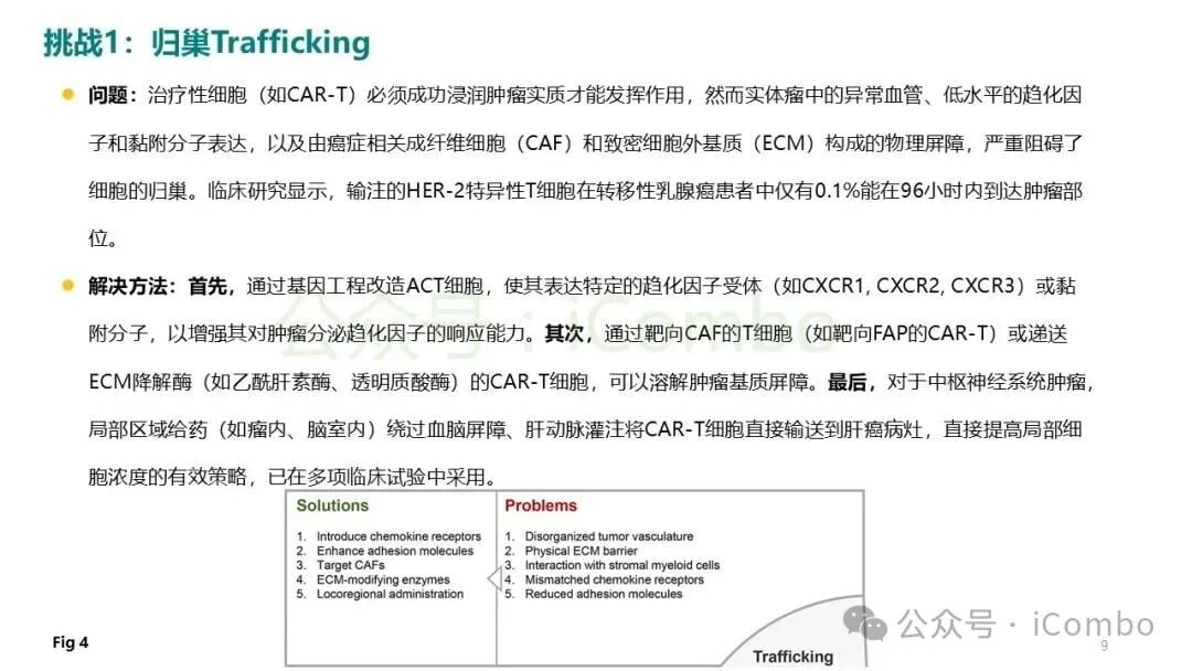 工程化细胞因子共表达逆转肿瘤免疫抑制