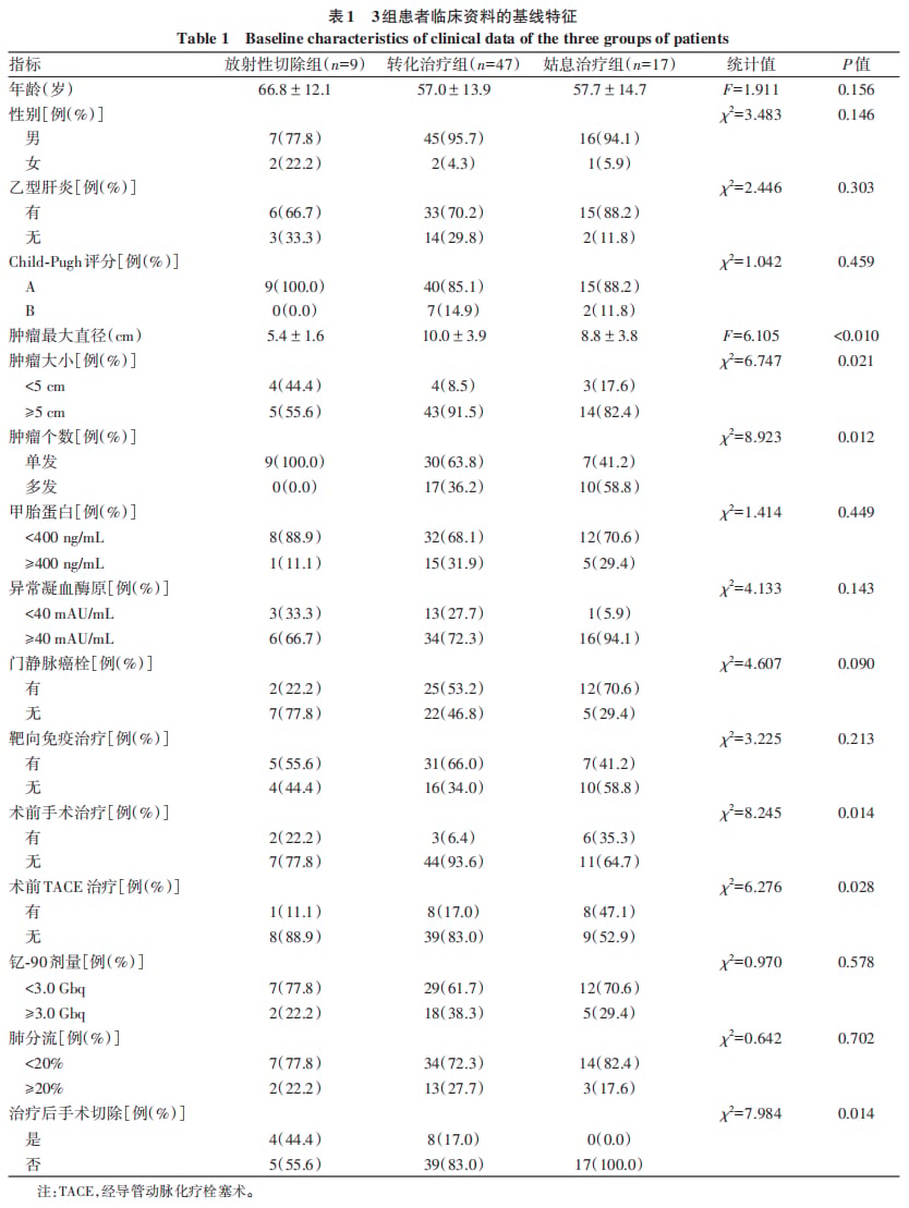 73例不可切除肝细胞癌患者钇-90治疗基线特征表