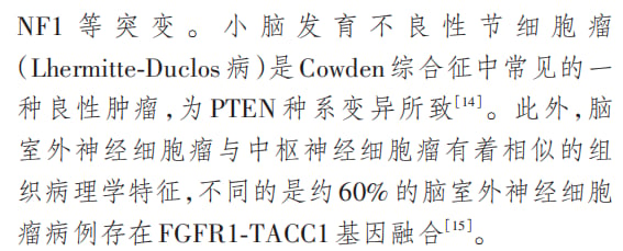 脑室外神经细胞瘤磁共振成像与病理切片照片
