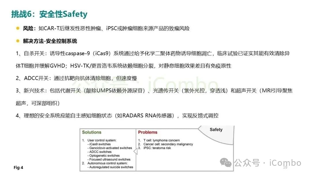 细胞治疗临床前高保真评估模型对比