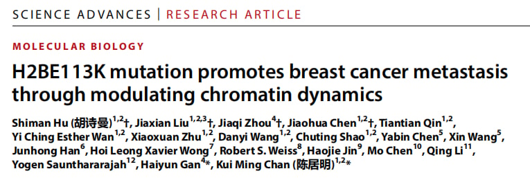 H2BE113K突变促进乳腺癌转移的研究机制图解