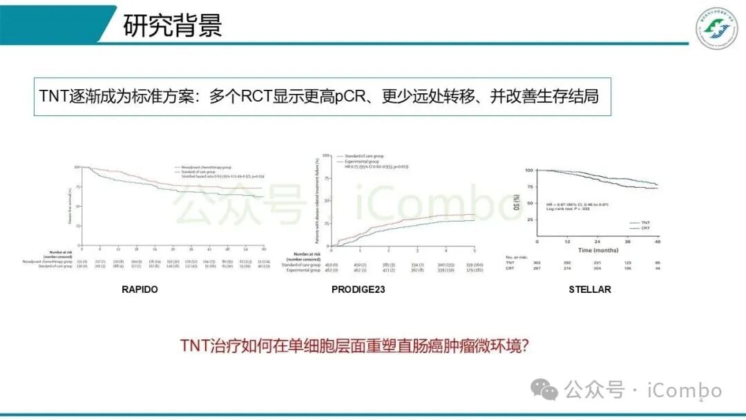ACKR1+内皮细胞亚群与CD8+T细胞募集分析图