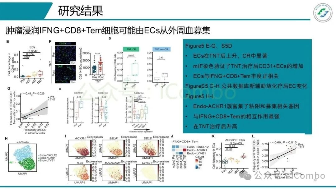 治疗反应良好的患者微环境改变对比
