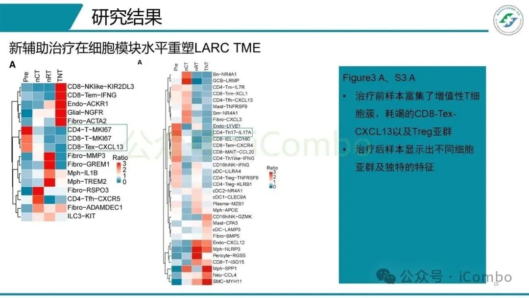 直肠癌组织单细胞RNA测序细胞聚类图