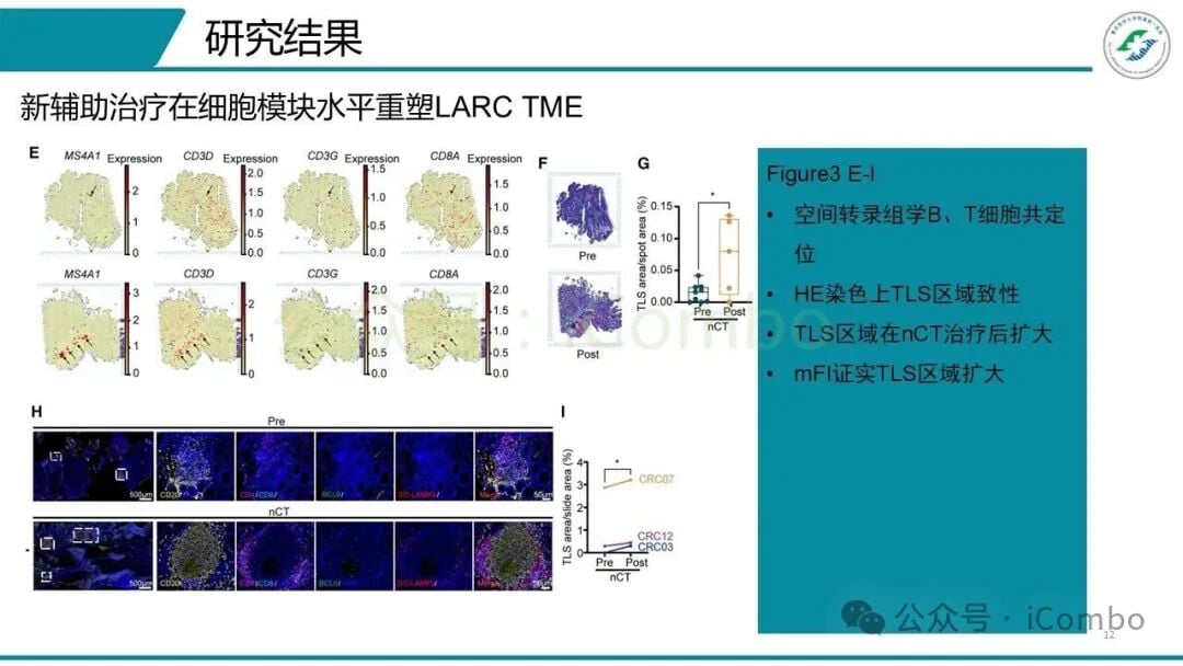 不同新辅助治疗组肿瘤样本表达谱对比