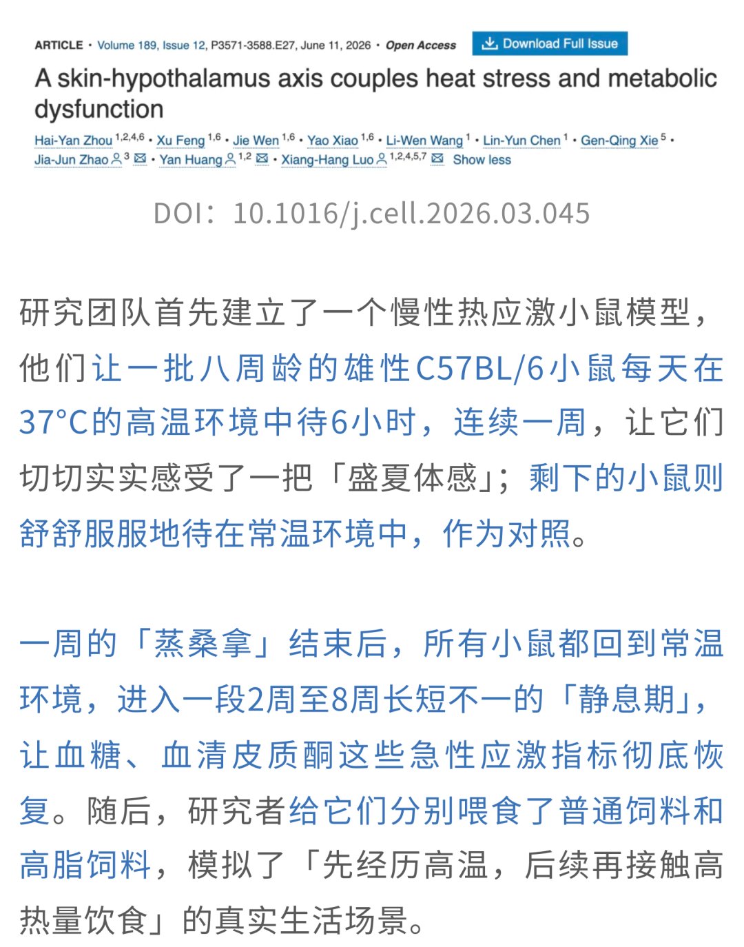 高温介导皮肤-大脑-脂肪轴代谢紊乱机制图