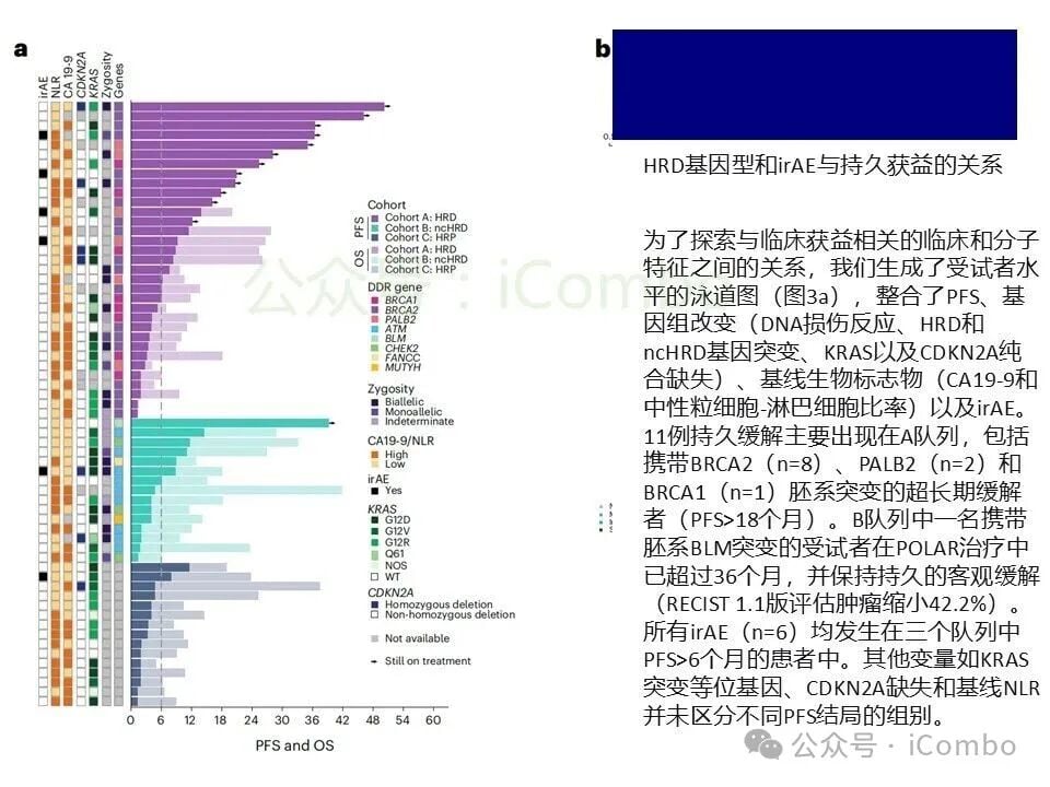 生活质量评分与长期用药耐受性评估