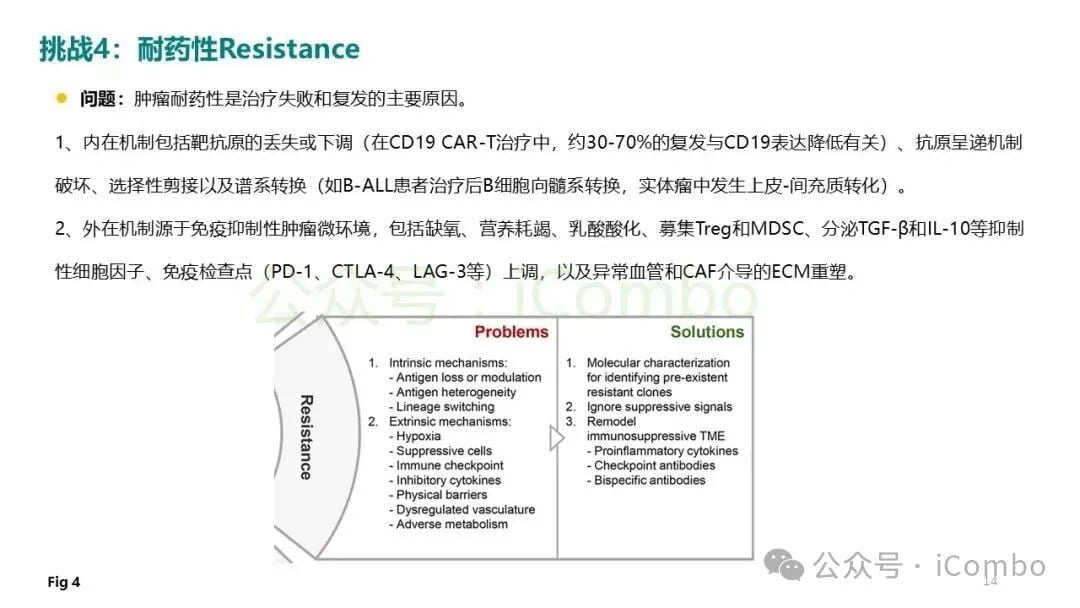 生物材料水凝胶辅助细胞局部递送系统