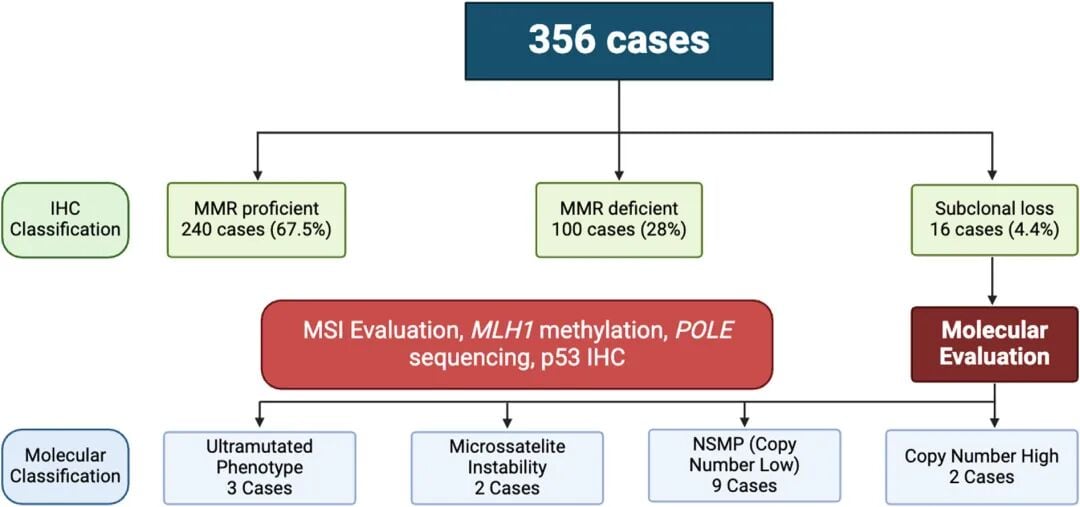 基于MMR表达模式的子宫内膜癌精准分子分型与诊疗路径更新算法