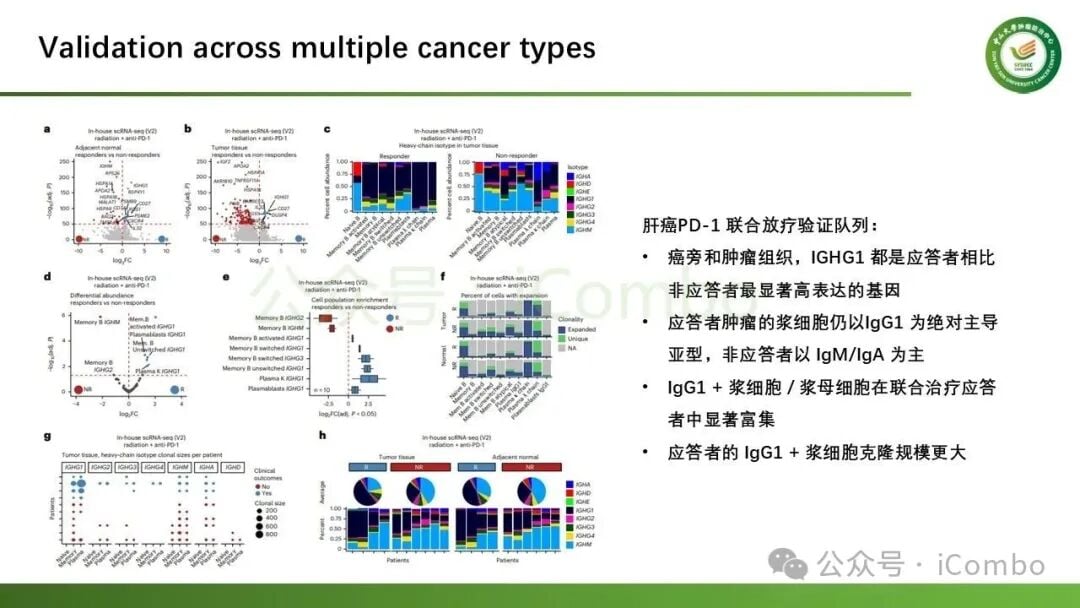 空间转录组学展示肿瘤微环境中浆细胞与巨噬细胞互作