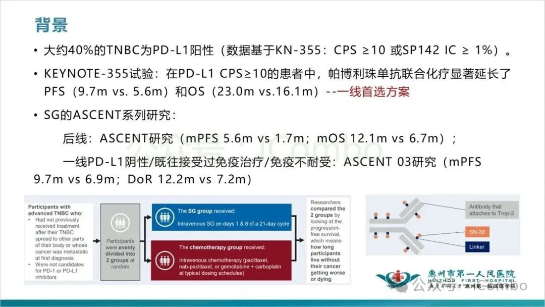 KEYNOTE-D19研究亚组分析与安全性评估数据