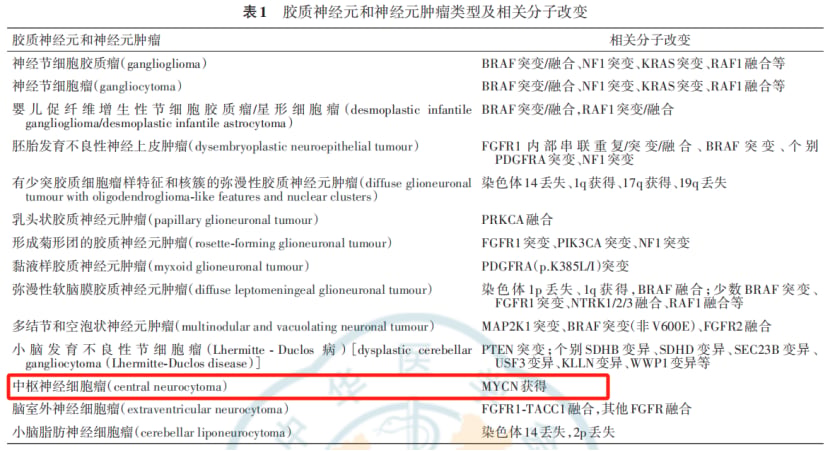 中枢神经细胞瘤分子表达与FGFR3低甲基化机制