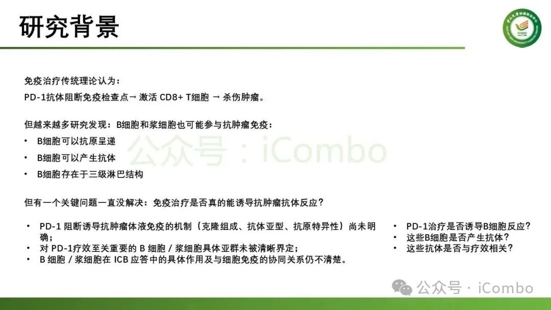 IgG1浆细胞与肿瘤反应性CD8⁺T细胞的空间分布与互作网络