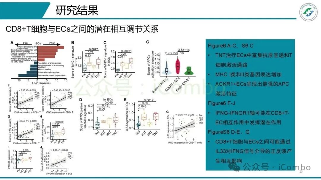 血管内皮细胞标志物免疫组化染色结果
