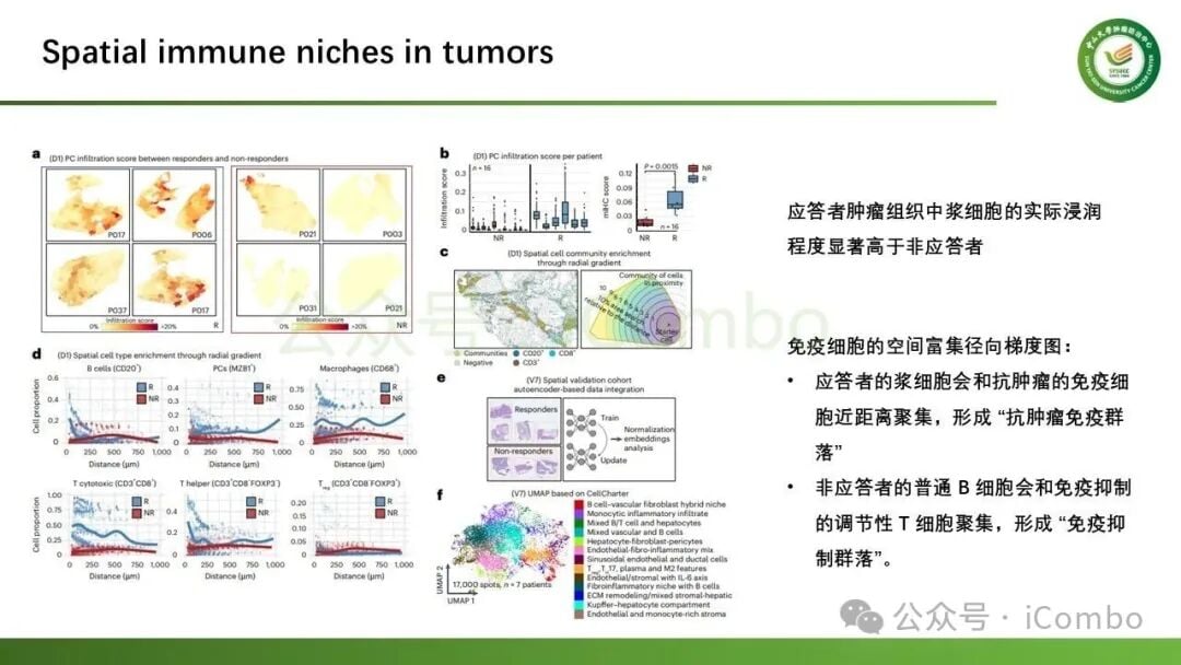 黑色素瘤与肺癌免疫治疗队列中的IGHG1转录表达图谱