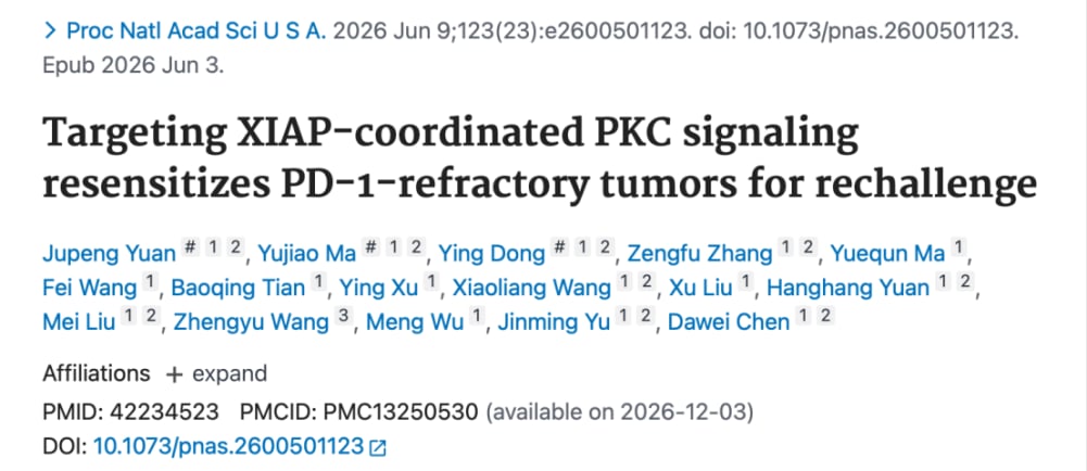 PKC与XIAP信号轴驱动肿瘤免疫逃逸的分子机制图