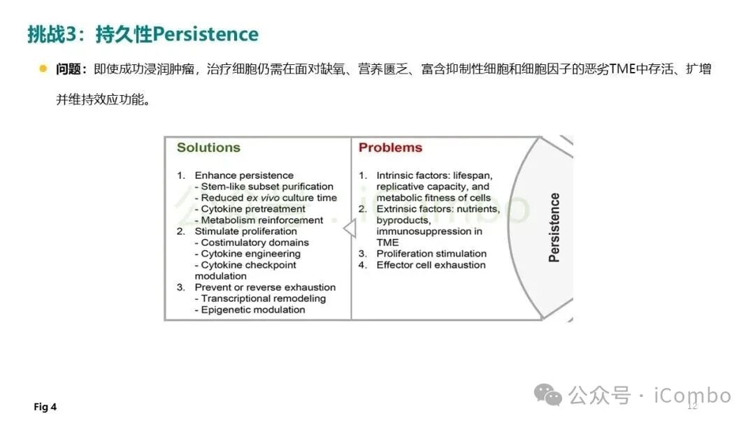 全基因组CRISPR筛选在细胞治疗靶点开发中的应用