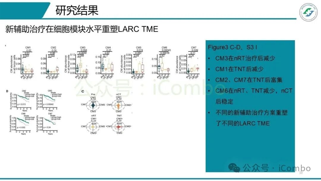 内皮细胞不同亚群标记基因表达热图