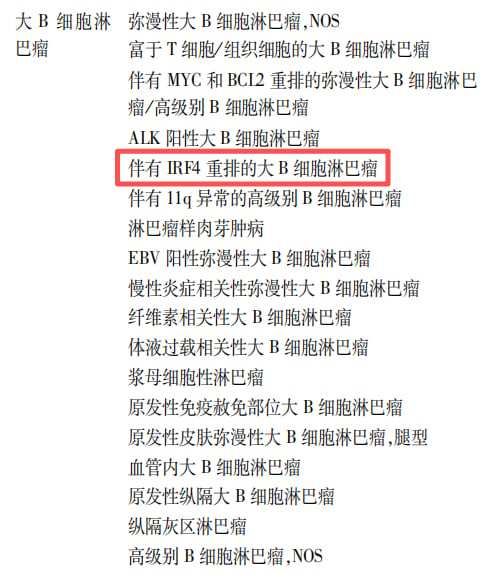 WHO淋巴瘤分类中伴有IRF4重排的大B细胞淋巴瘤分型解析