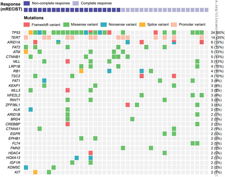 肝癌ctDNA TP53突变与三联疗法预后相关性分析