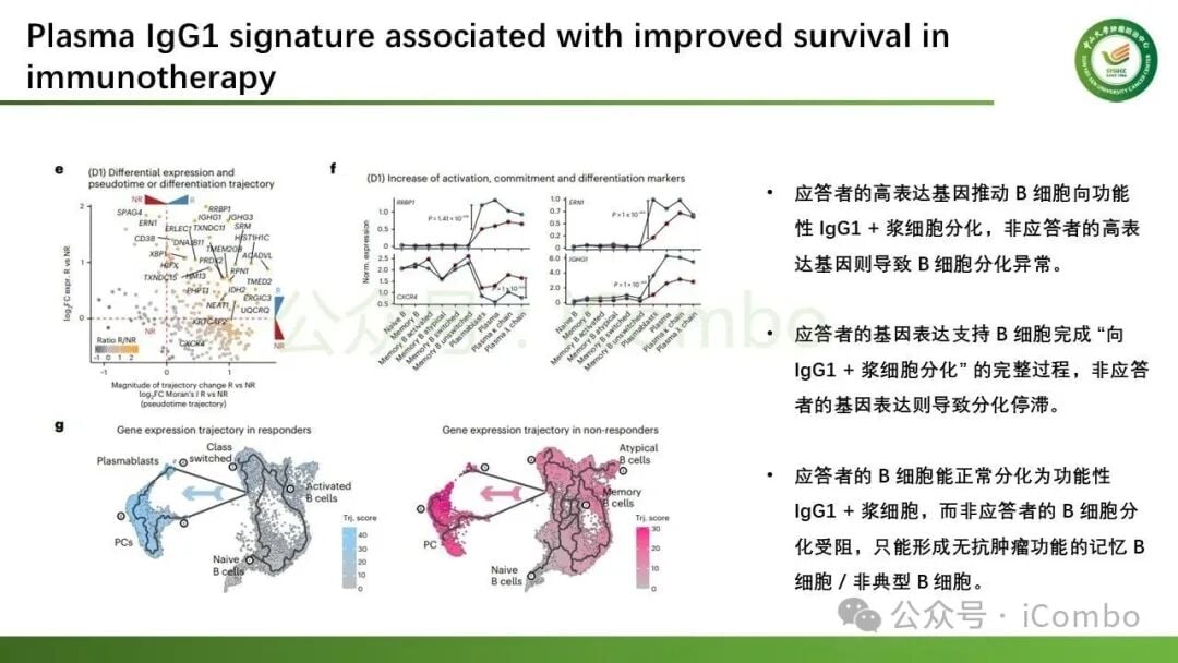 免疫检查点抑制剂诱导IgG1浆细胞应答机制总结图