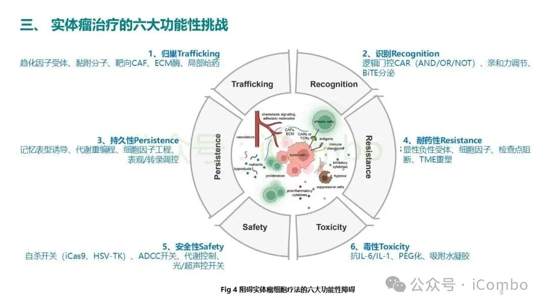 代谢重编程增强CAR-T细胞在微环境中的适应性