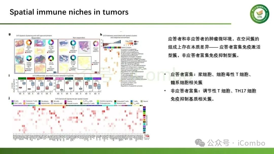 B细胞受体BCR克隆扩增与免疫治疗预后关联