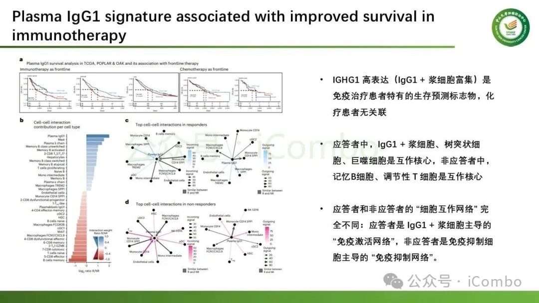 免疫活化微环境与免疫抑制微环境细胞组成模式图