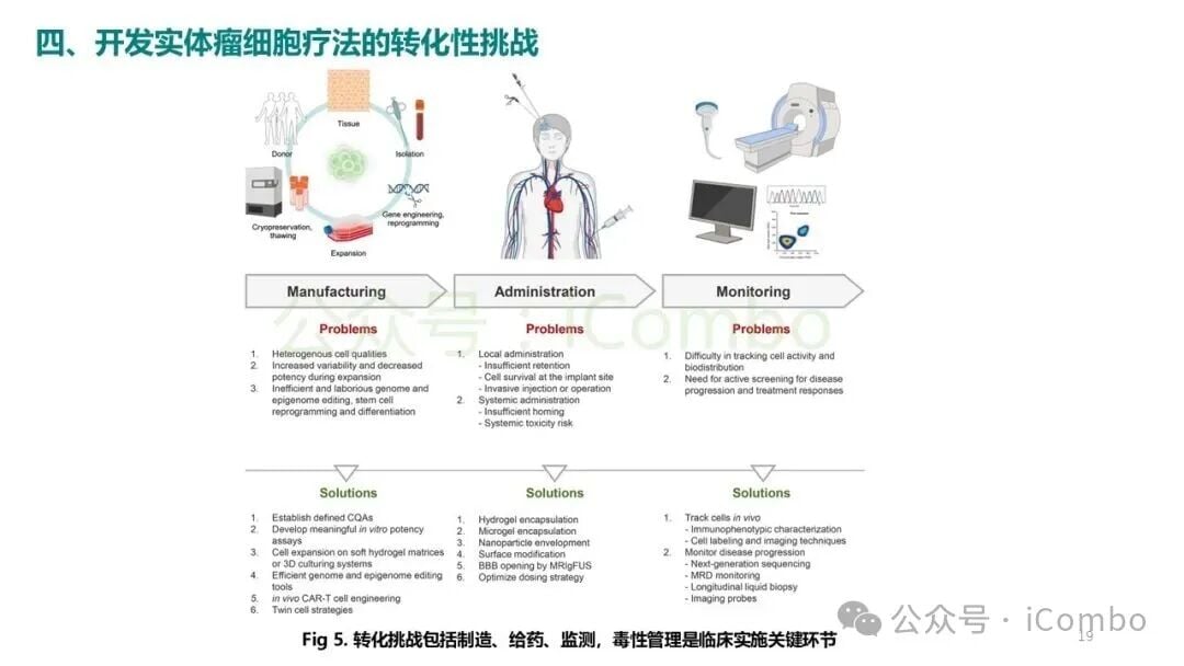 体内细胞扩增与动态监测影像技术