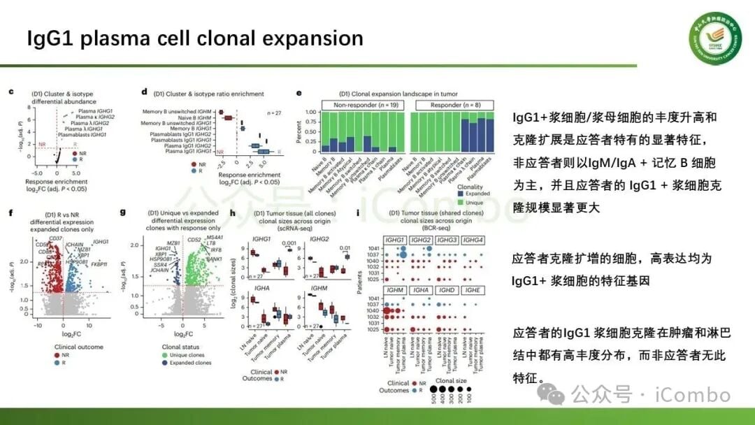 IL-6与TNF通路调控B细胞分化的细胞间通讯网络图