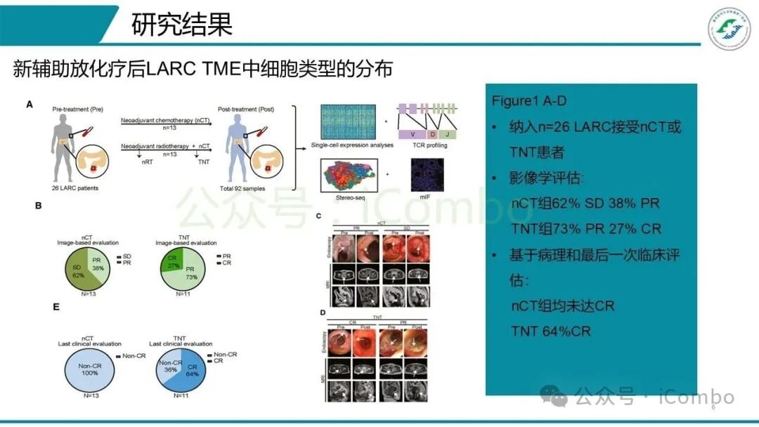 多重免疫荧光技术验证ACKR1+内皮细胞抗原呈递功能