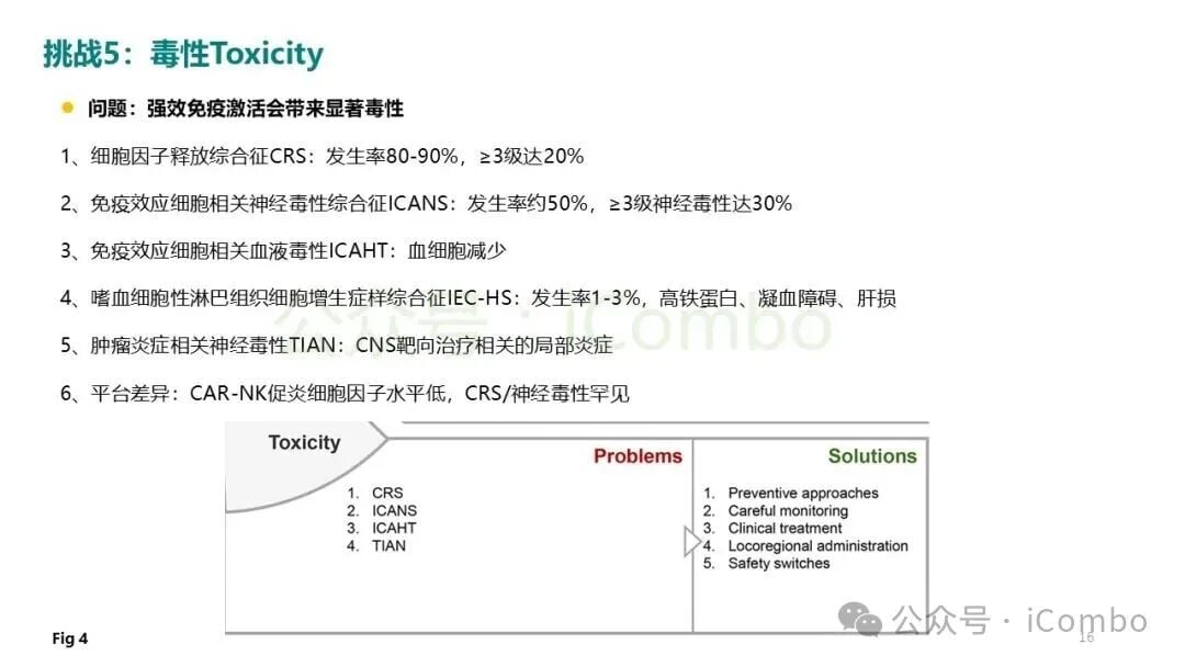 双靶向与多细胞协同杀伤实体瘤方案