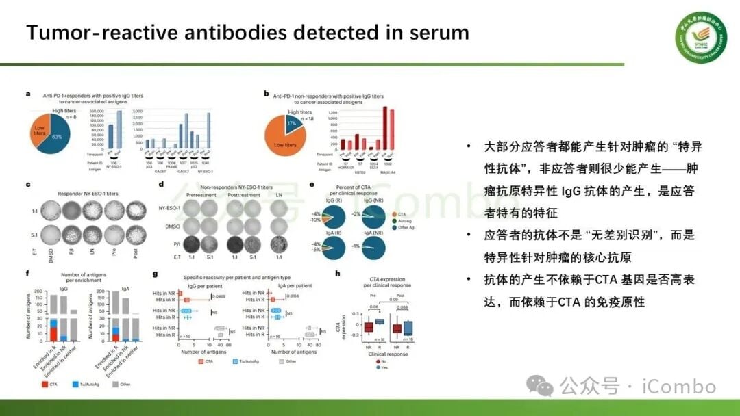 化疗队列与免疫治疗队列中IgG1预后价值对比图