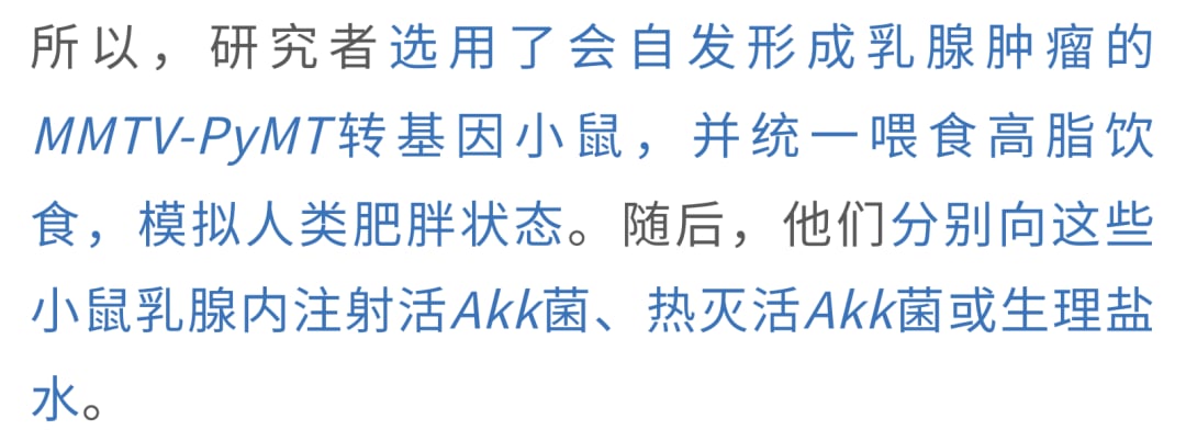 乳腺微环境注入活菌小鼠成瘤模型实验设计