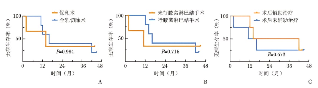手术方式与辅助治疗对POB患者DFS影响的生存曲线分析