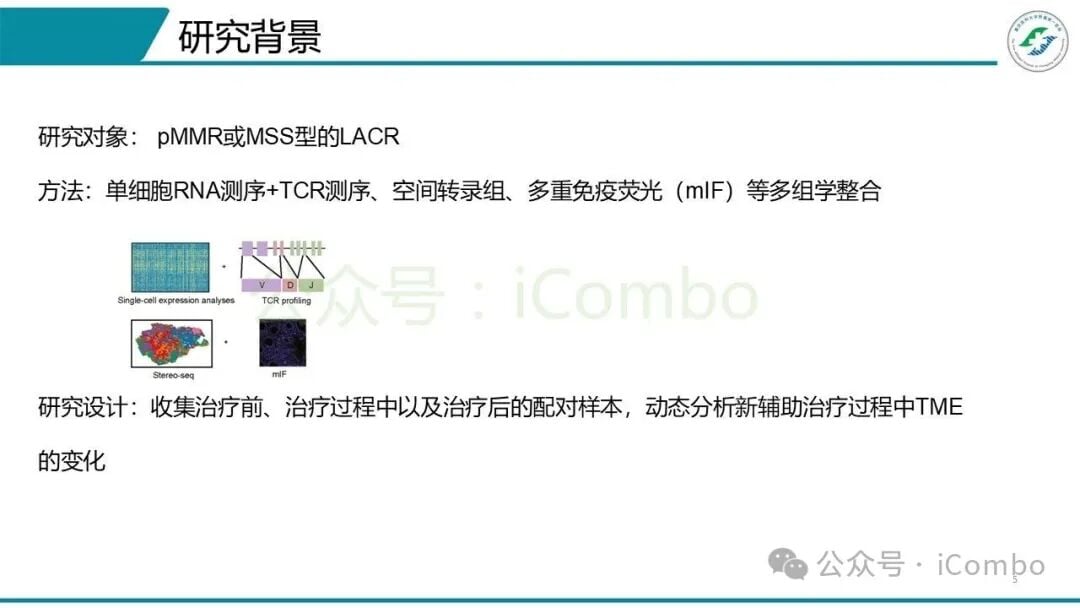 空间转录组解析T细胞与内皮细胞在肿瘤微环境中的空间互作