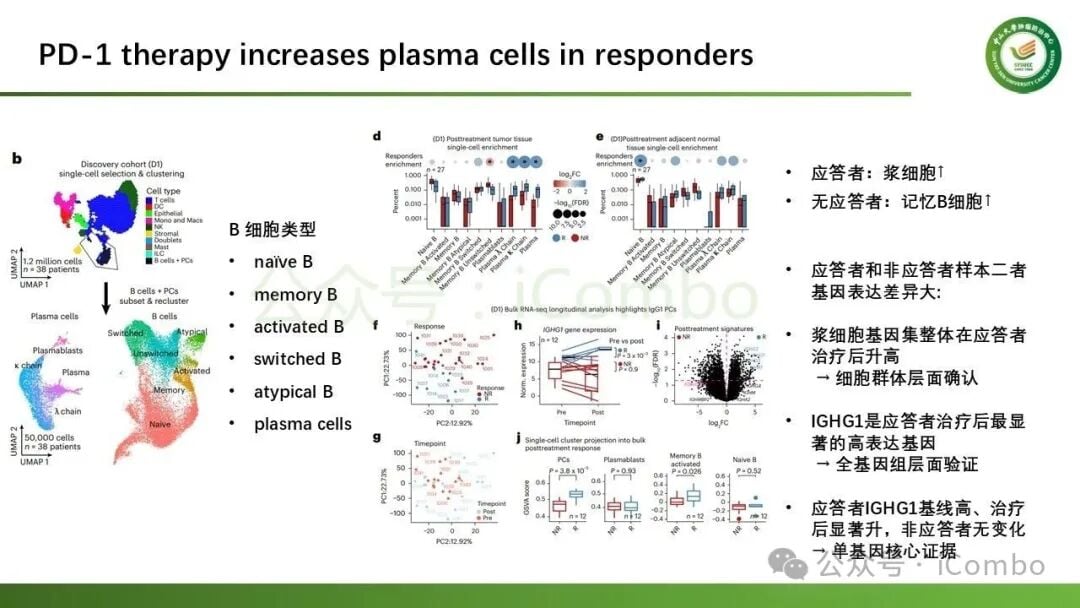 PD-1联合VEGF阻断疗法下IgG1浆细胞的扩增趋势
