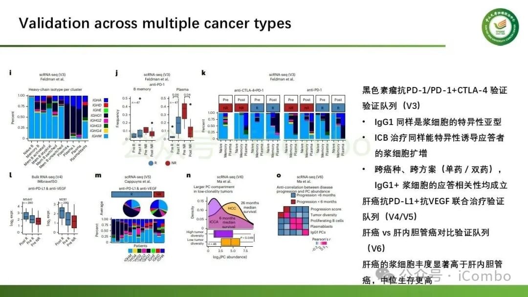 ERN1及RRBP1基因在IgG1浆细胞分化中的表达图