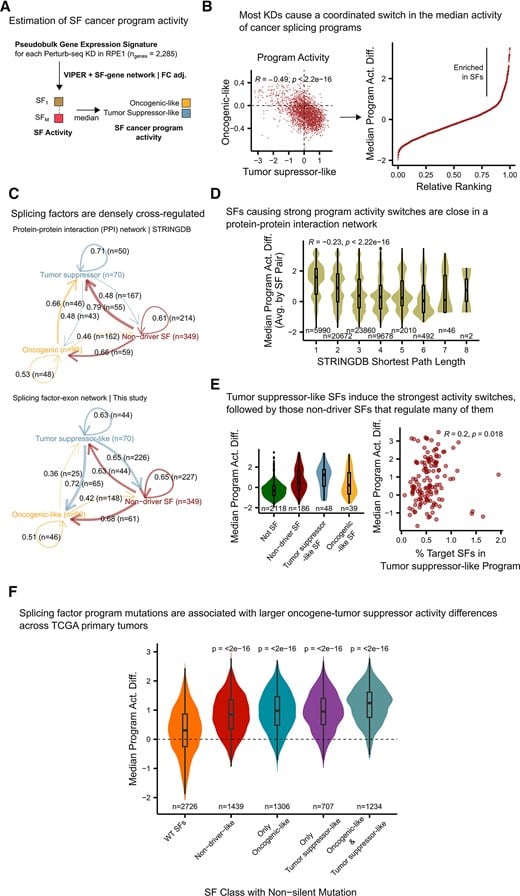 癌症生长的“幕后黑手”:AI发现MYC基因劫持剪接系统的新机制 2 1760714476765_1938376.jpeg