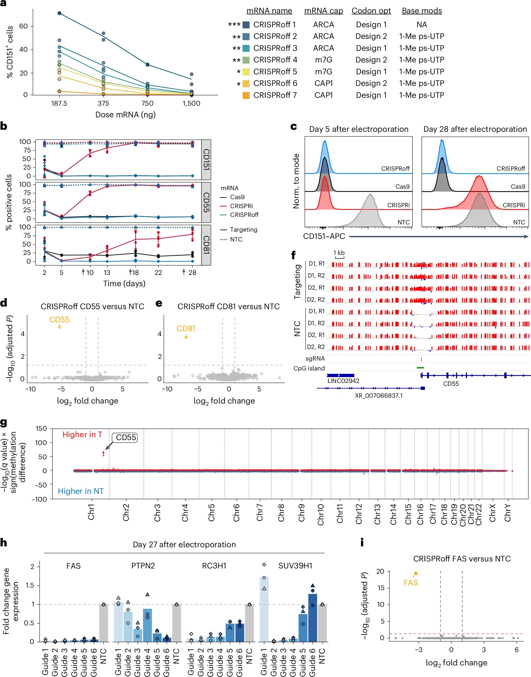CAR-T疗法新突破:不伤DNA的基因开关为T细胞注入持久抗癌记忆 1 1761058777537_1938376.webp