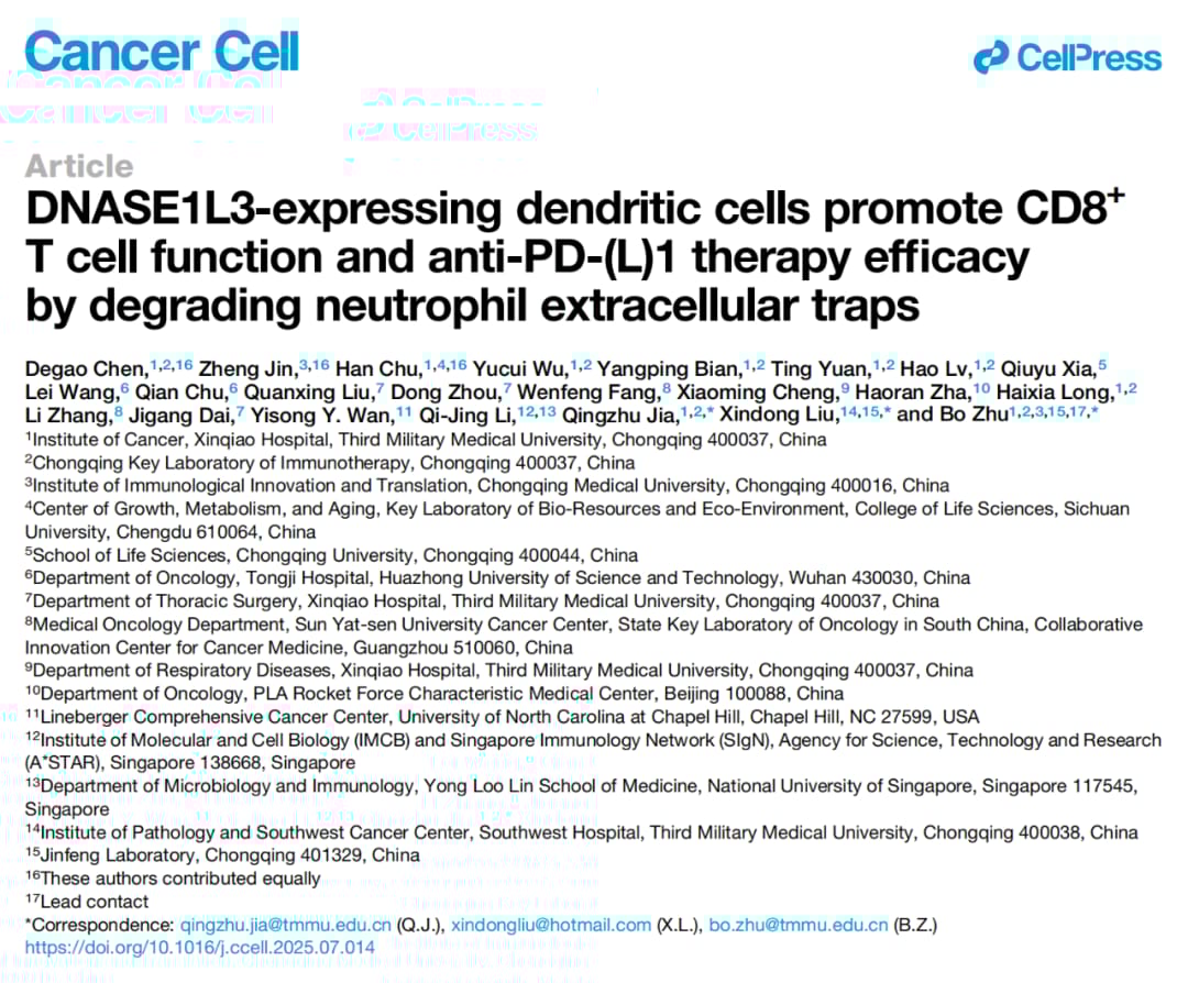 癌症免疫治疗新突破:新靶点DNASE1L3如何增强PD-1/PD-L1疗效? 1 图片