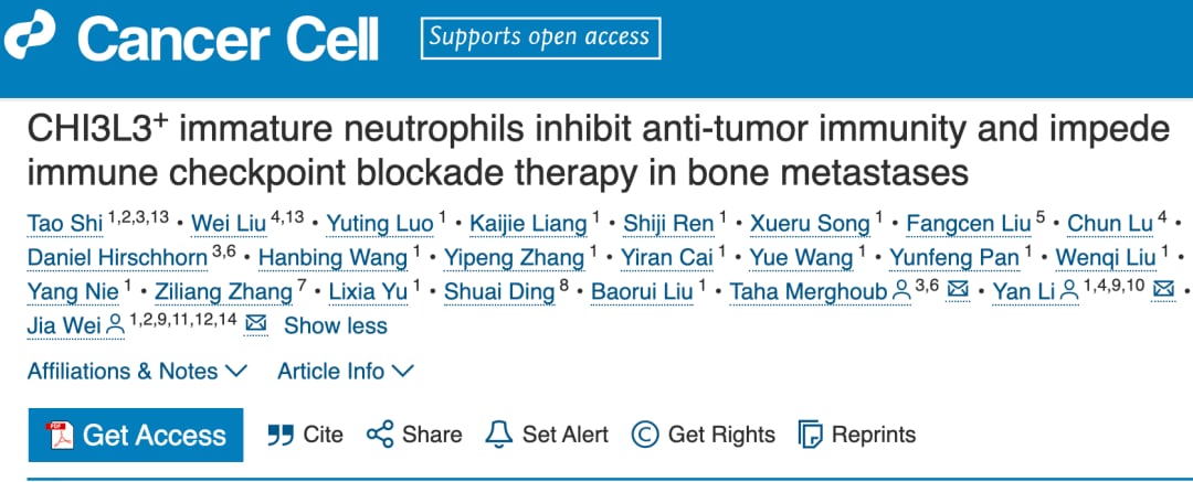 揭秘癌症骨转移难治之谜:DKK1如何“黑化”中性粒细胞,影响免疫治疗效果? 1 92119ae9eaa54eee984c5a1d3fbf6c1f-w76bFnq