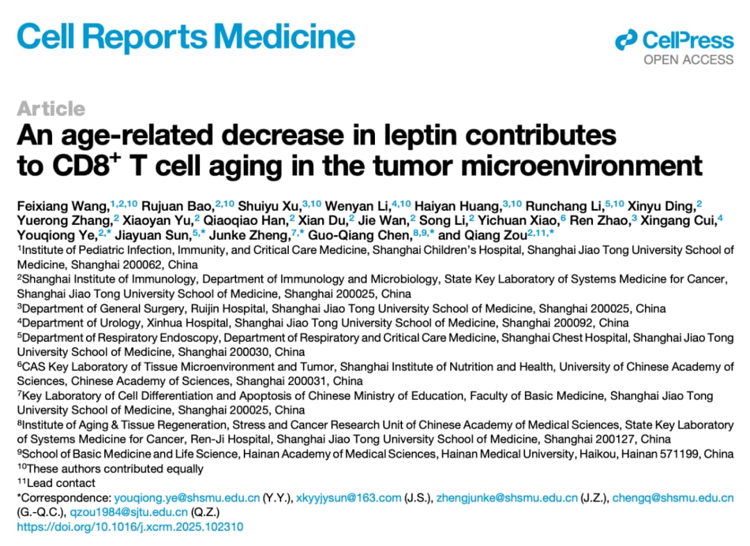 瘦素与癌症免疫:揭秘脂肪如何影响老年抗肿瘤T细胞功能 1 ee37ed135ae5478e999f551547b5a7b8-smcdPTM