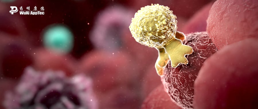 ENPP1抑制剂:点燃“冷肿瘤”,重塑癌症免疫治疗新格局 1 图片