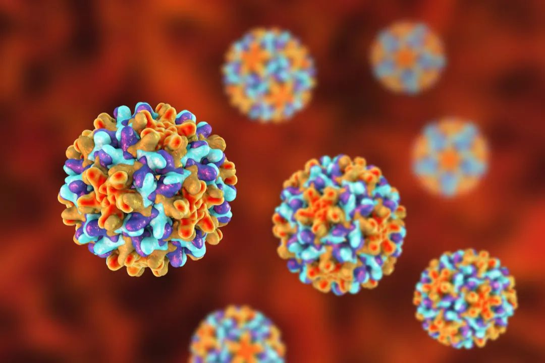 保胎药阿托西班(Atosiban)或成肝癌治疗新突破:靶向OXTR,抑制肿瘤生长 2 8b0b4473174740f998b805db84dccc07-dTBxwaI