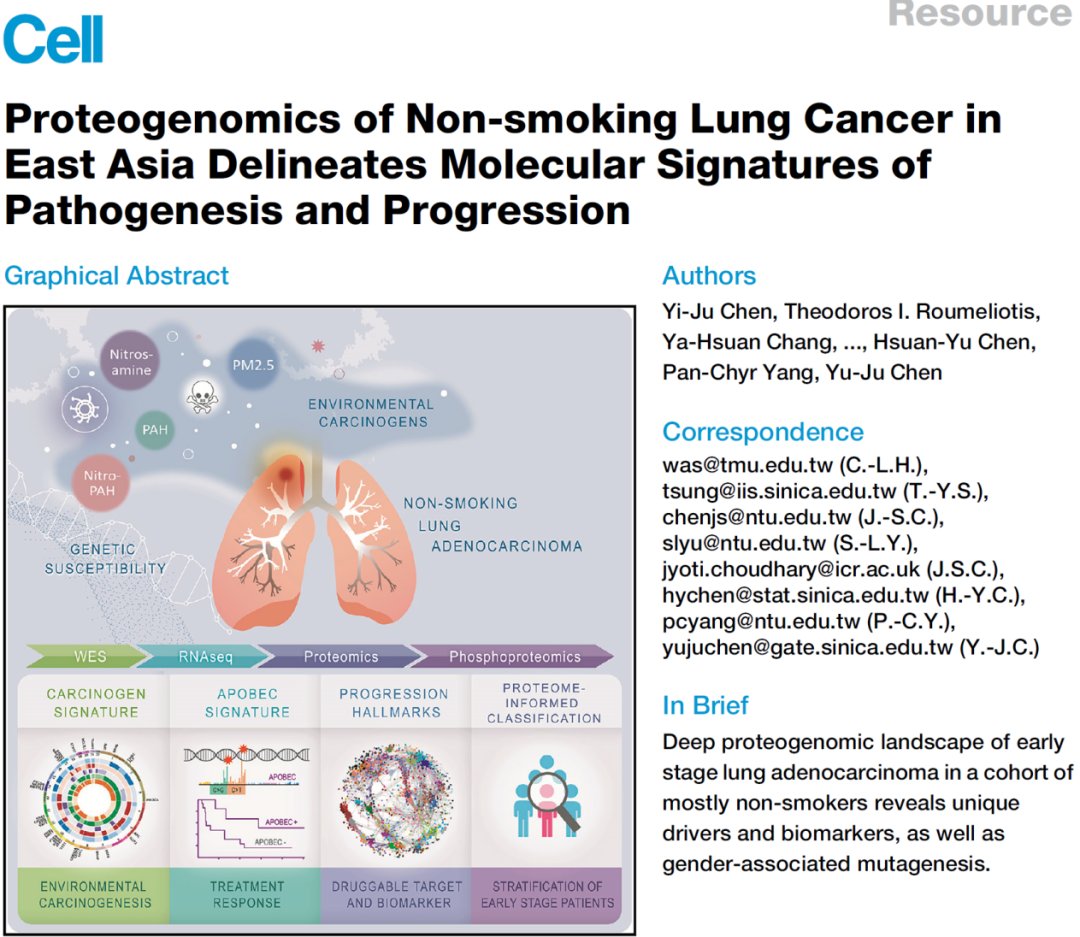 不吸烟也得肺癌?警惕针对年轻女性的“新型肺癌”,EGFR突变是关键 4 图片