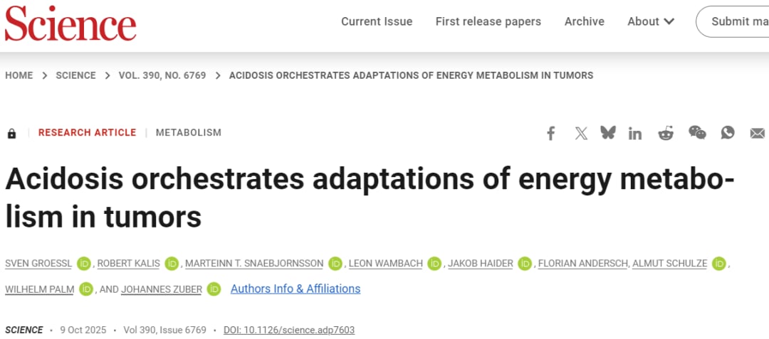 089007d462e64df3bb142acbb8320340-F6Y3yrU