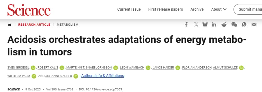 胰腺癌细胞的生存秘诀:酸性肿瘤微环境如何重塑其能量代谢? 1 图片
